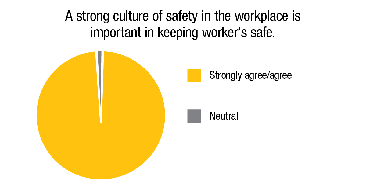2020 güvenlik anketi güvenlik kültürü