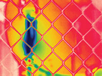 This auto focus system only captures, the near field subject - the chain link fence