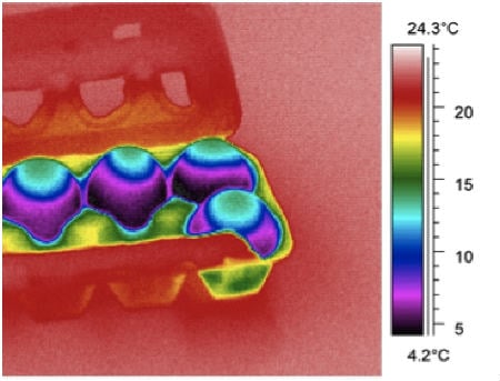Thermal image of liquid/air interface of an egg